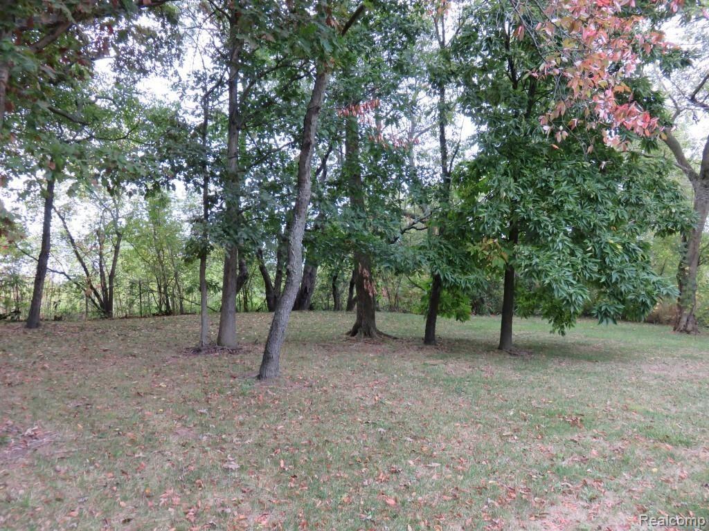 2611 Pinckney Road Howell, MI 48843 - Photo 41 of 55 Man's best friends love this environment