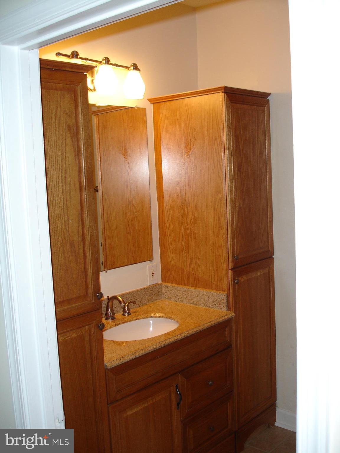 12013 Taliesin Place, Unit 14 Reston, VA 20190 - Photo 9 of 20 Lots of Bathroom Storage Space