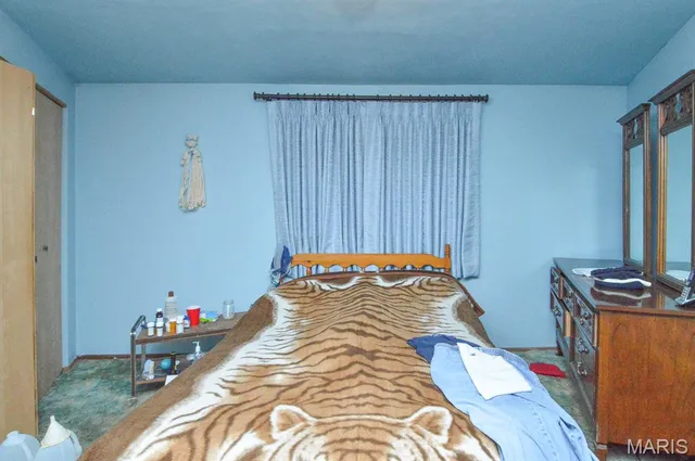 $10,000 | 270 Locust Street, Carlyle, IL 62231