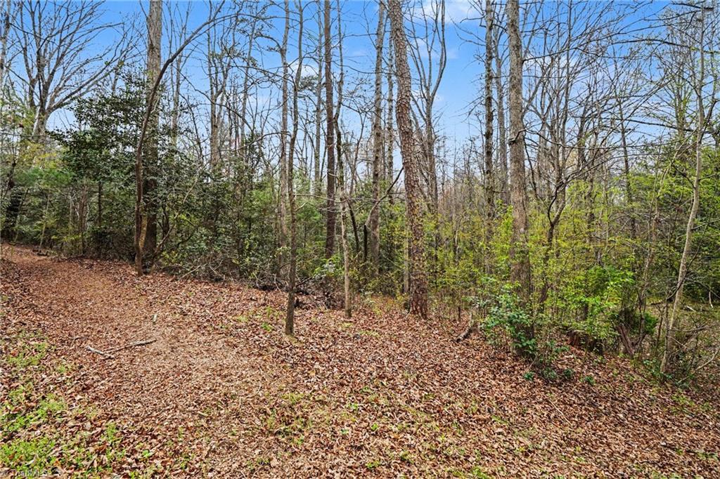 3301 Deal Mill Road Hudson, NC 28638 - Photo 41 of 45