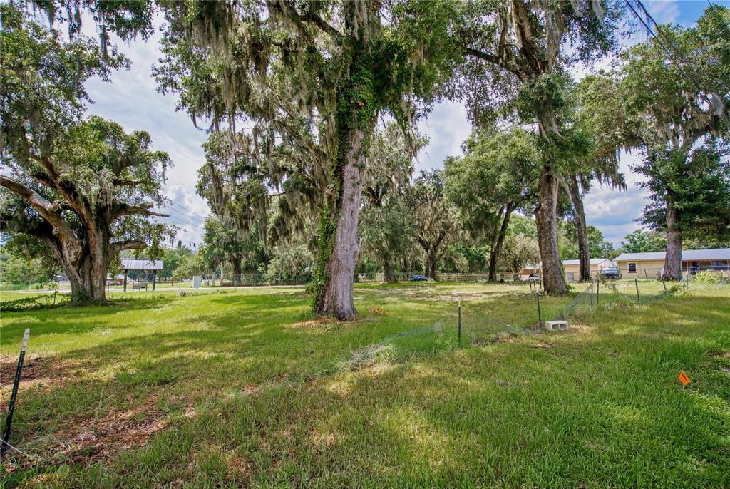 720 Huntington Road Crescent City, FL 32112 - Photo 2 of 9