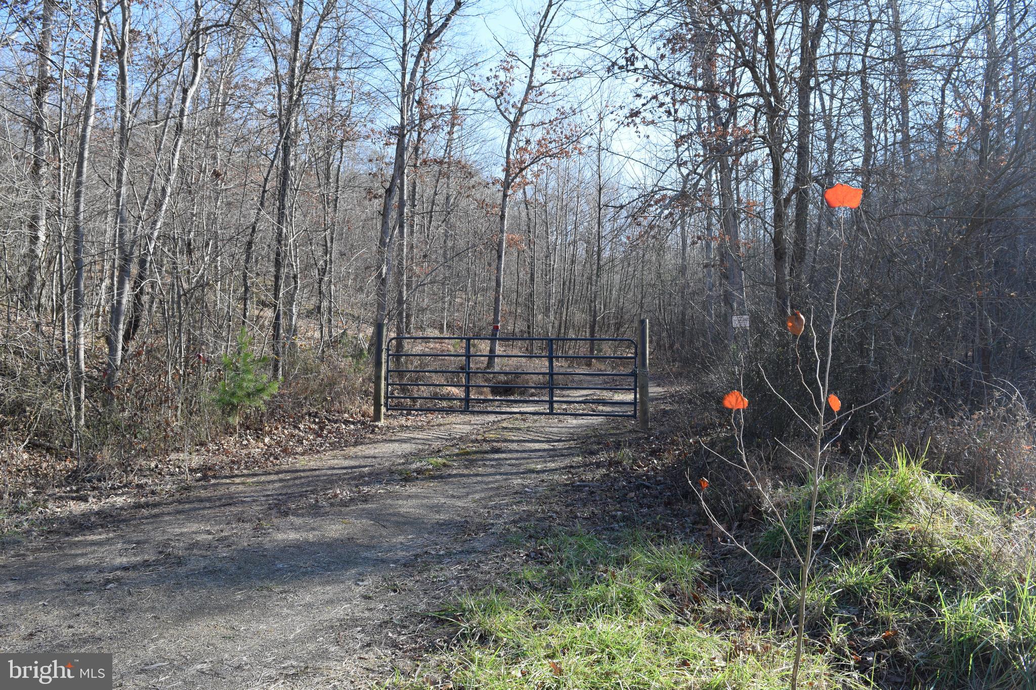 Posey Hollow Road Berkeley Springs, WV 25411 - Photo 1 of 32 Gallery Image 1