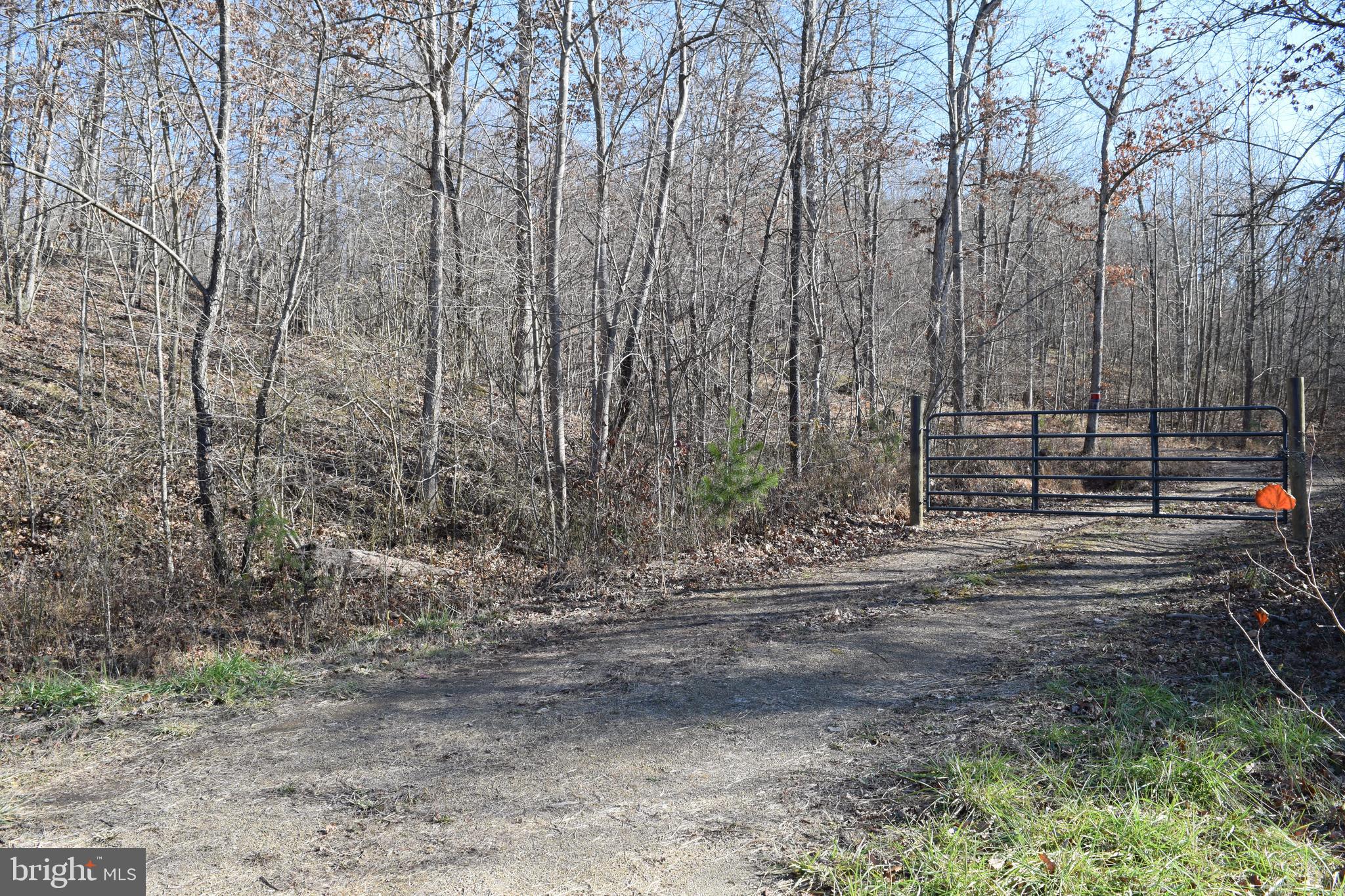 Posey Hollow Road Berkeley Springs, WV 25411 - Photo 2 of 32 Gallery Image 2