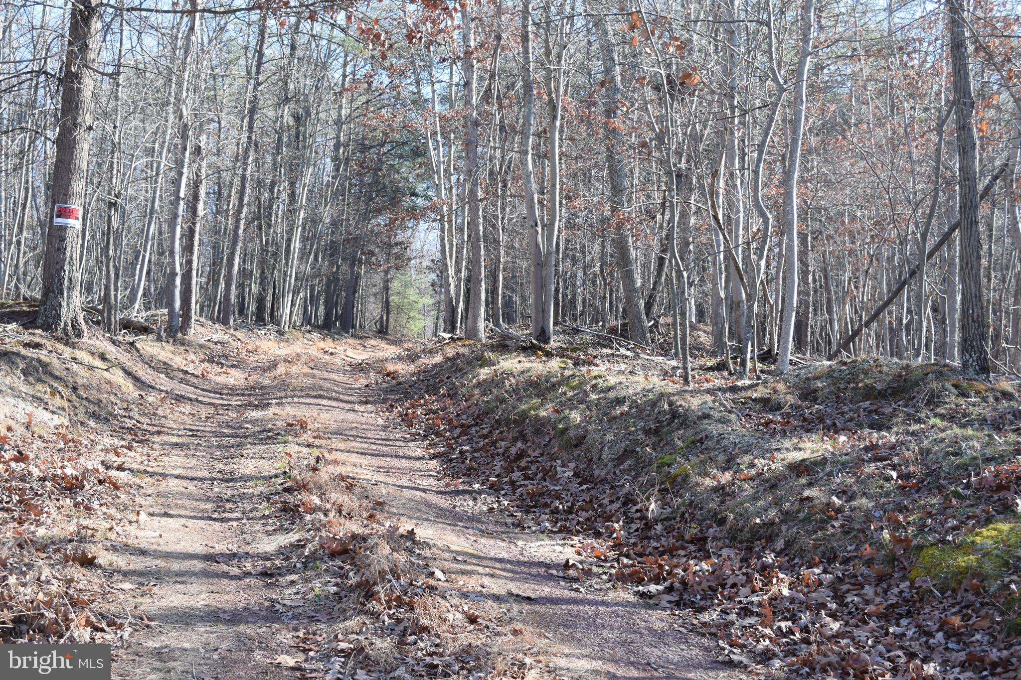 Posey Hollow Road Berkeley Springs, WV 25411 - Photo 11 of 32 Gallery Image 11