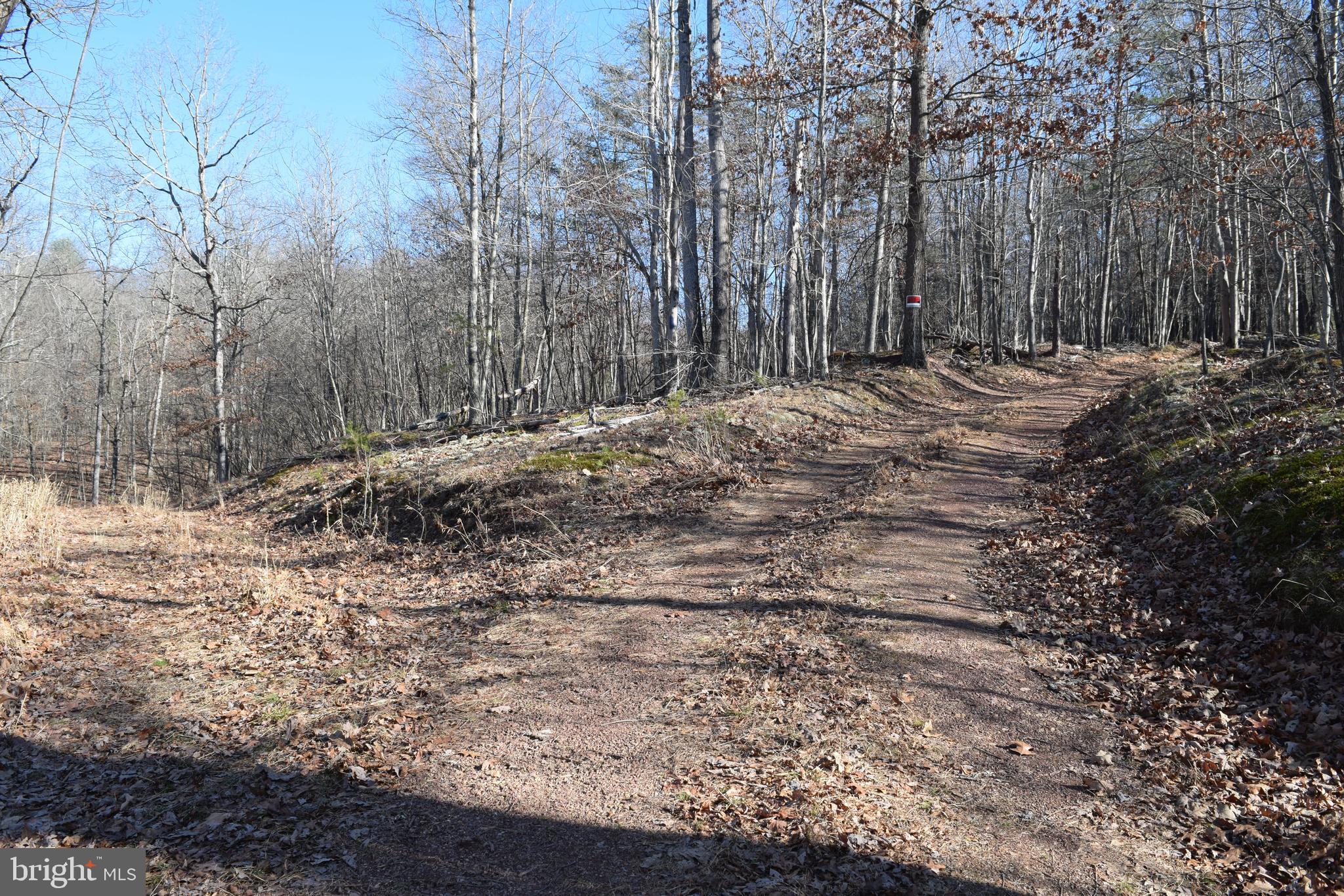 Posey Hollow Road Berkeley Springs, WV 25411 - Photo 12 of 32 Gallery Image 12