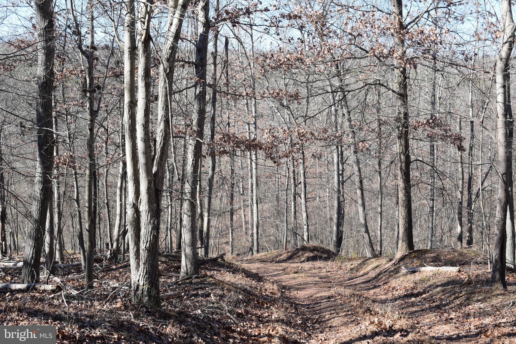 Posey Hollow Road Berkeley Springs, WV 25411 - Photo 14 of 32 Gallery Image 14