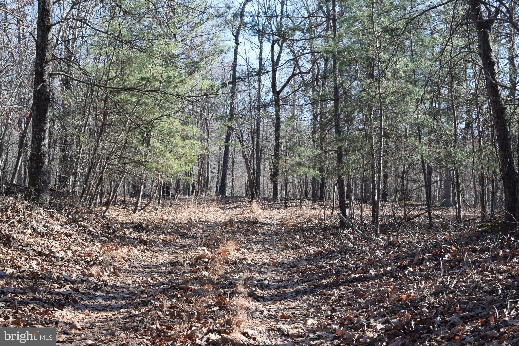 Posey Hollow Road Berkeley Springs, WV 25411 - Photo 16 of 32 Gallery Image 16