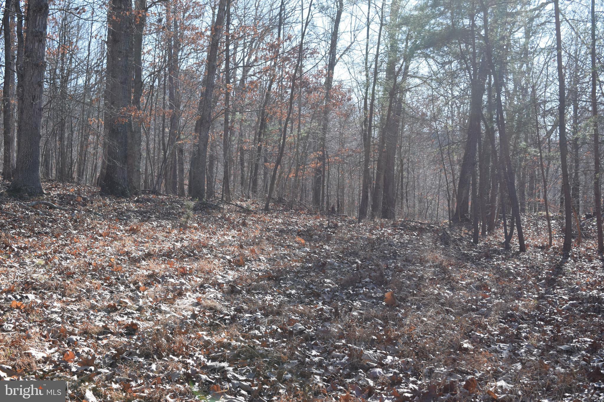 Posey Hollow Road Berkeley Springs, WV 25411 - Photo 17 of 32 Gallery Image 17
