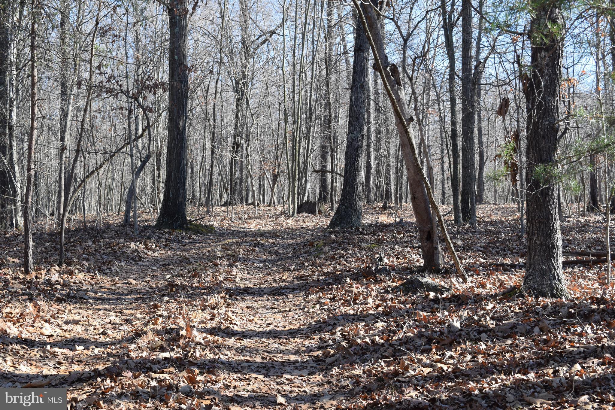 Posey Hollow Road Berkeley Springs, WV 25411 - Photo 18 of 32 Gallery Image 18