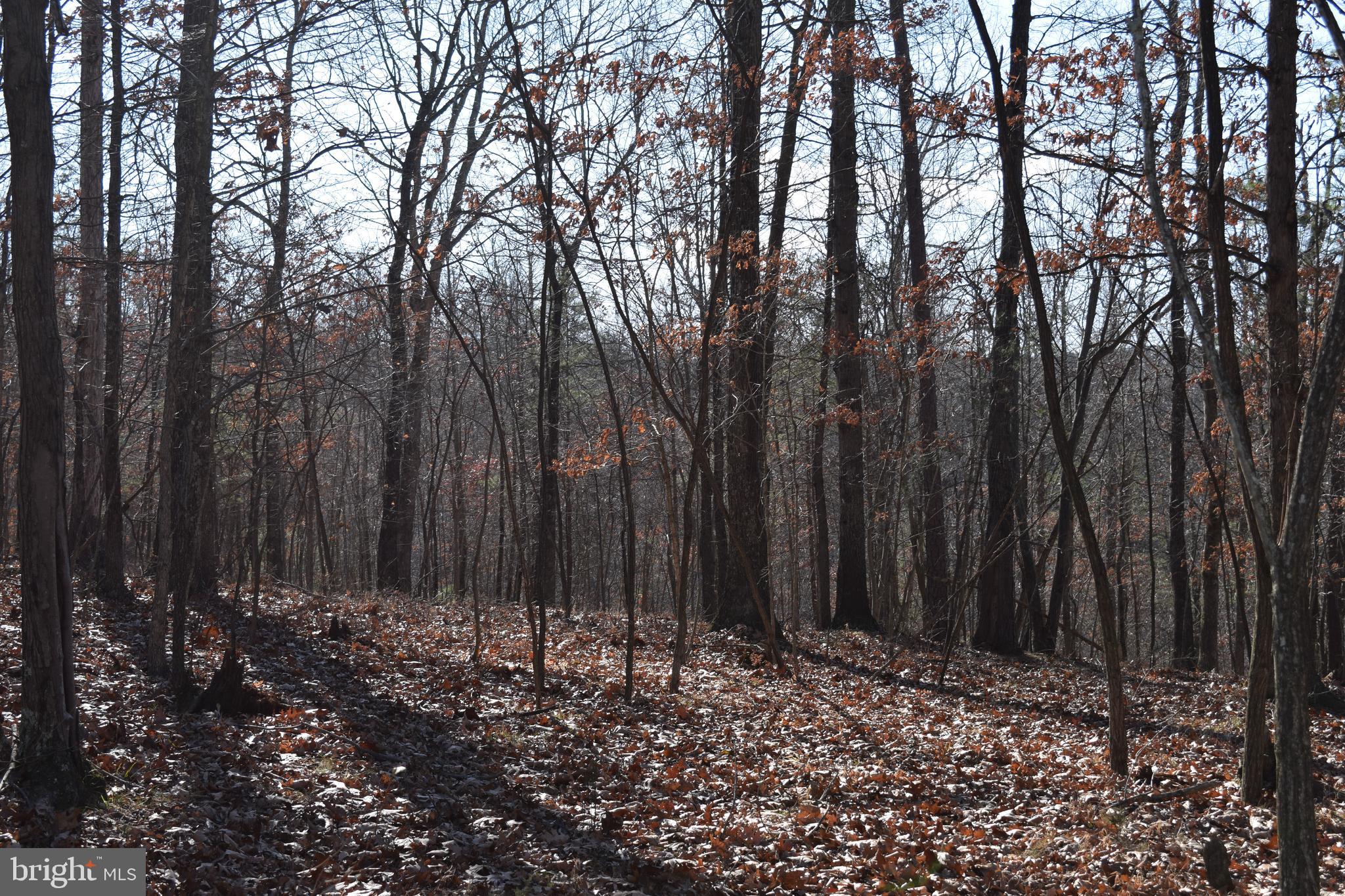 Posey Hollow Road Berkeley Springs, WV 25411 - Photo 20 of 32 Gallery Image 20