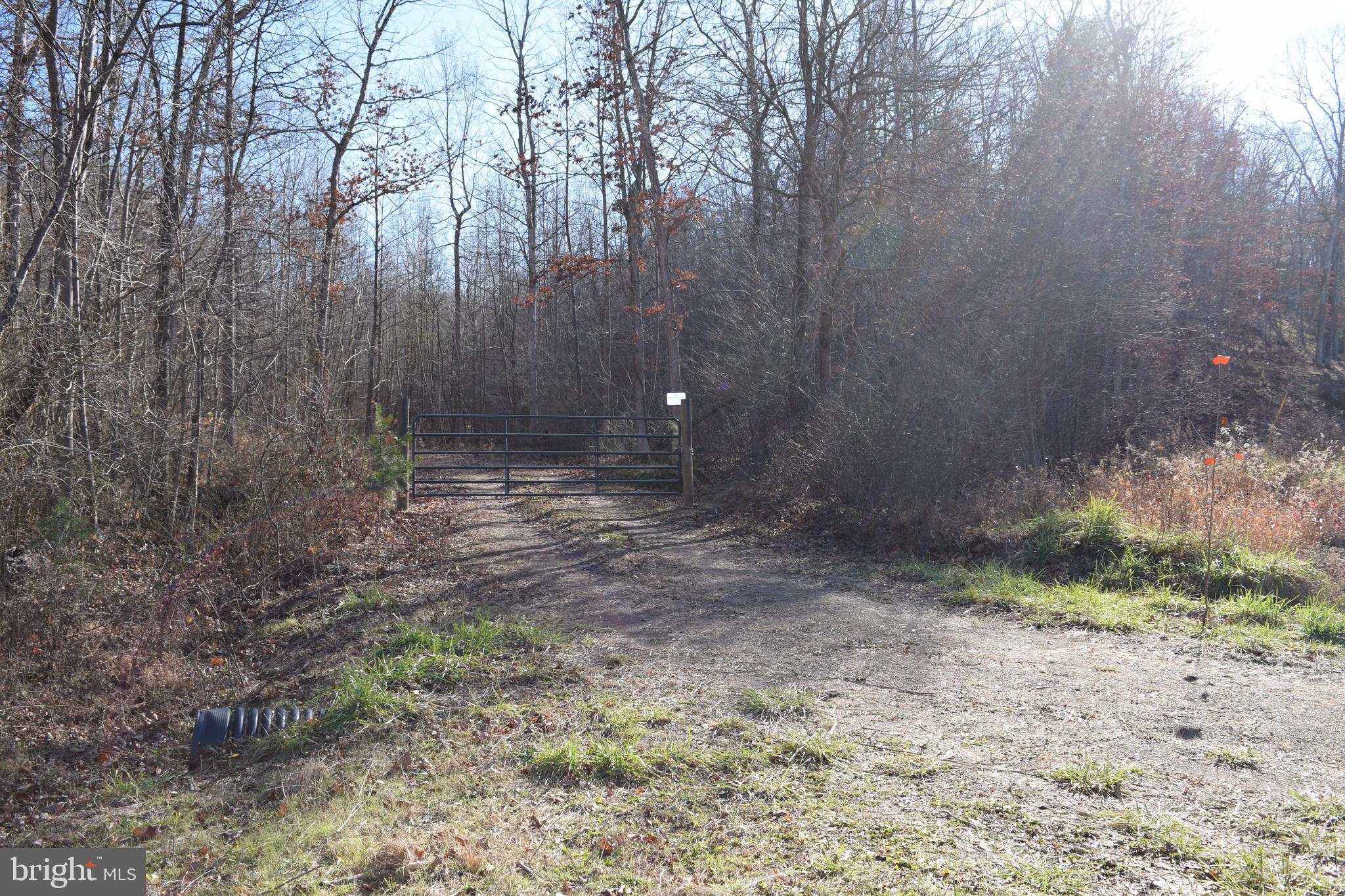 Posey Hollow Road Berkeley Springs, WV 25411 - Photo 3 of 32 Gallery Image 3