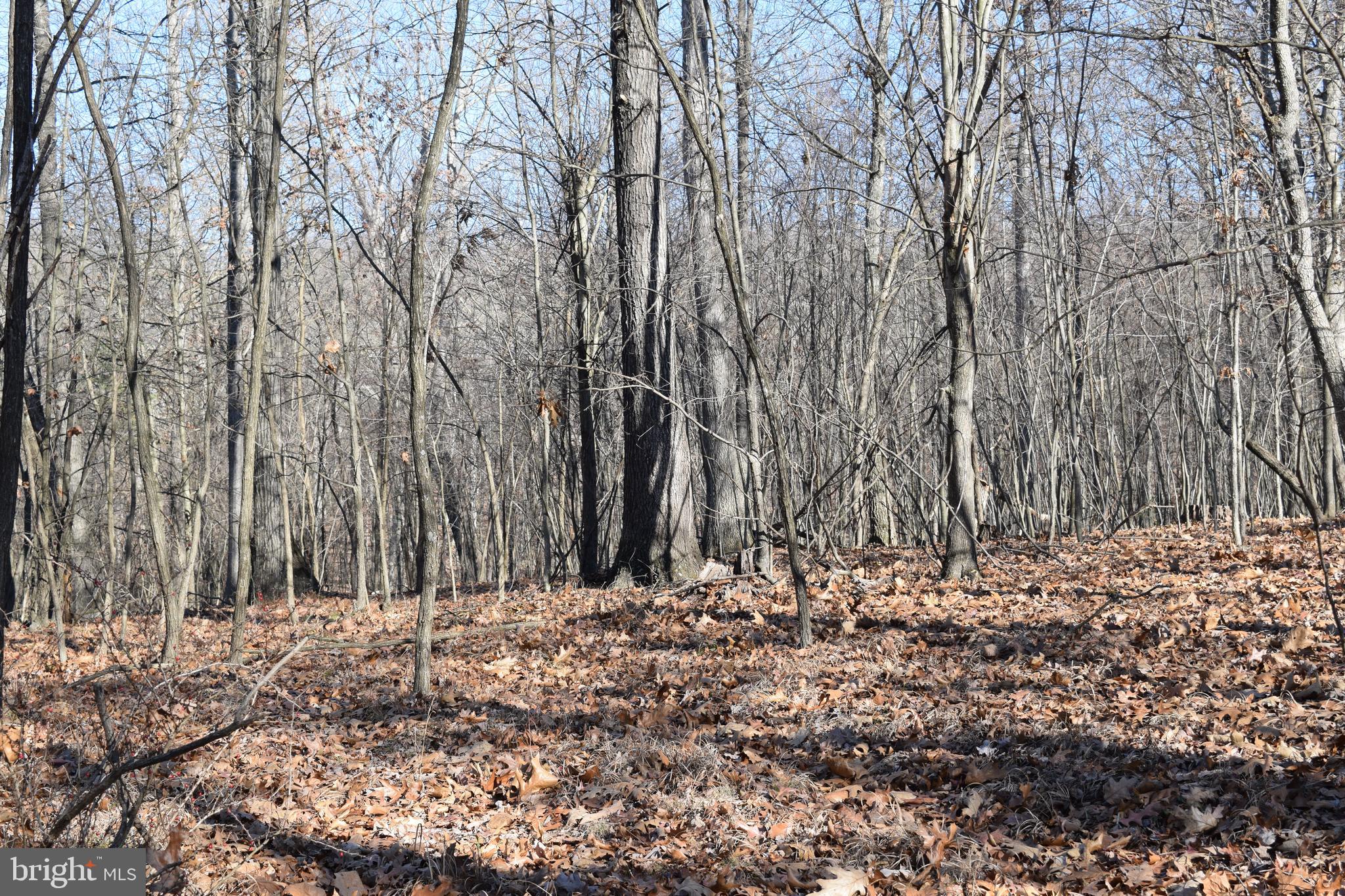 Posey Hollow Road Berkeley Springs, WV 25411 - Photo 21 of 32 Gallery Image 21