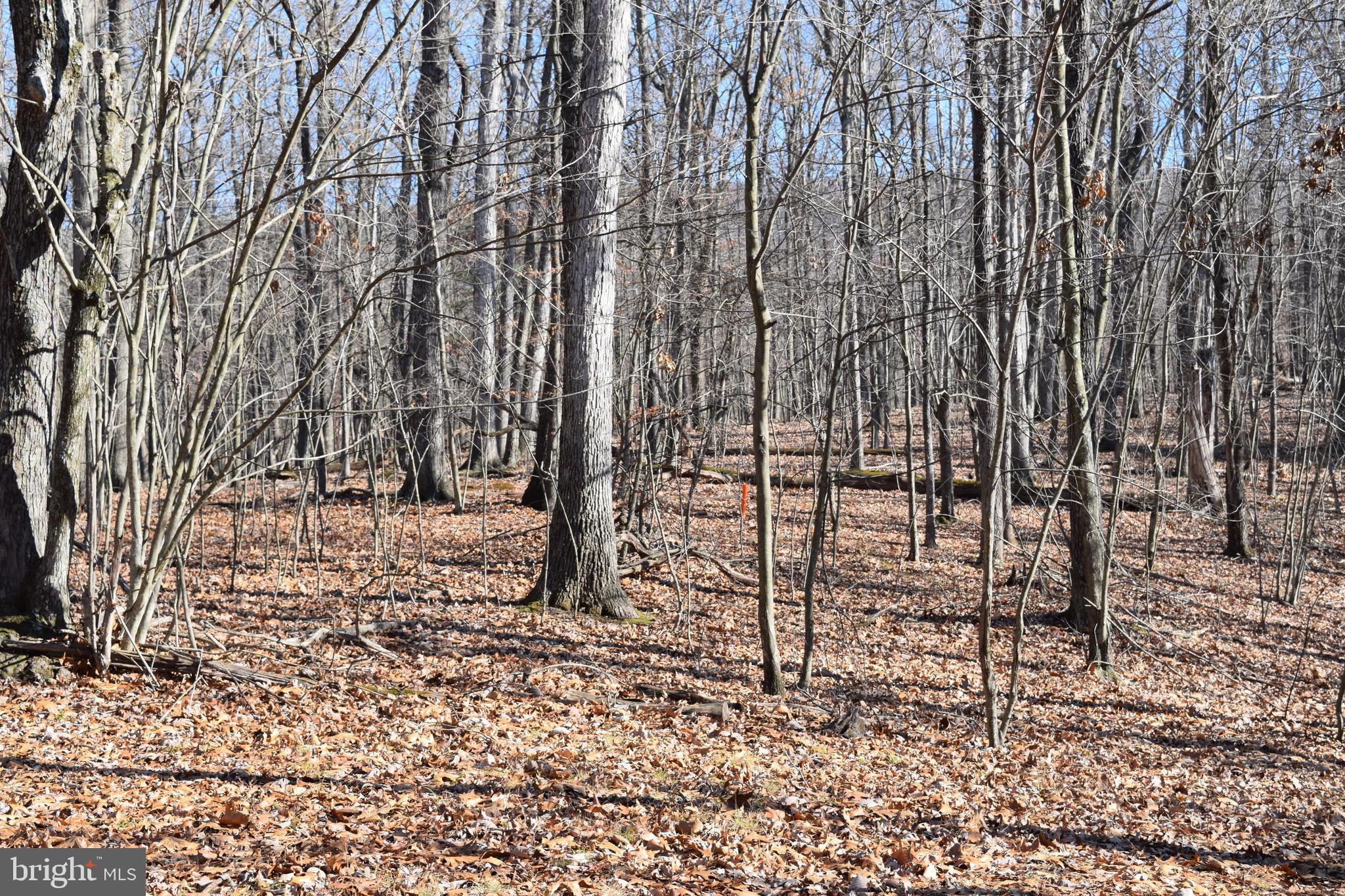 Posey Hollow Road Berkeley Springs, WV 25411 - Photo 23 of 32 Gallery Image 23