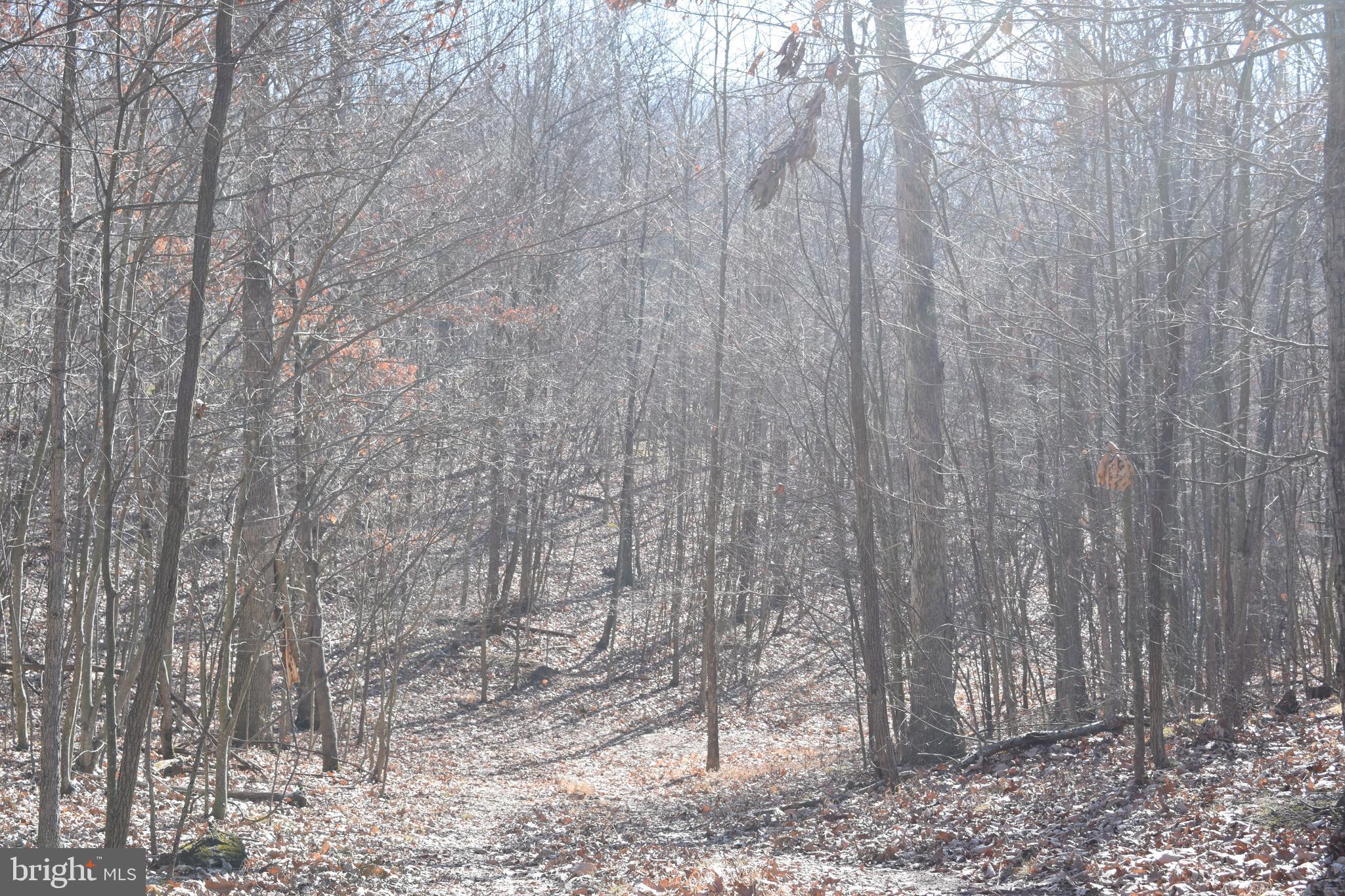 Posey Hollow Road Berkeley Springs, WV 25411 - Photo 24 of 32 Gallery Image 24