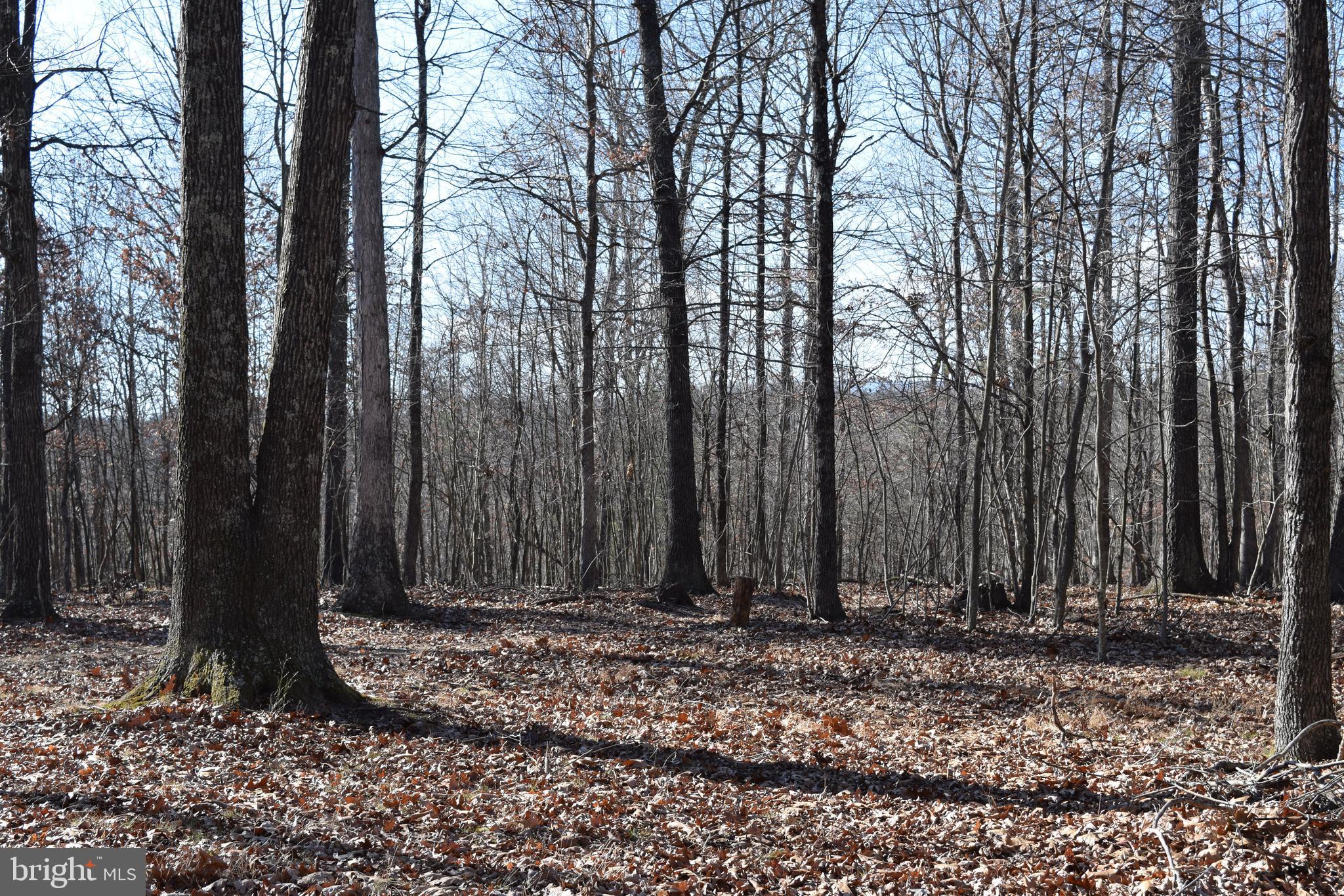 Posey Hollow Road Berkeley Springs, WV 25411 - Photo 26 of 32 Gallery Image 26