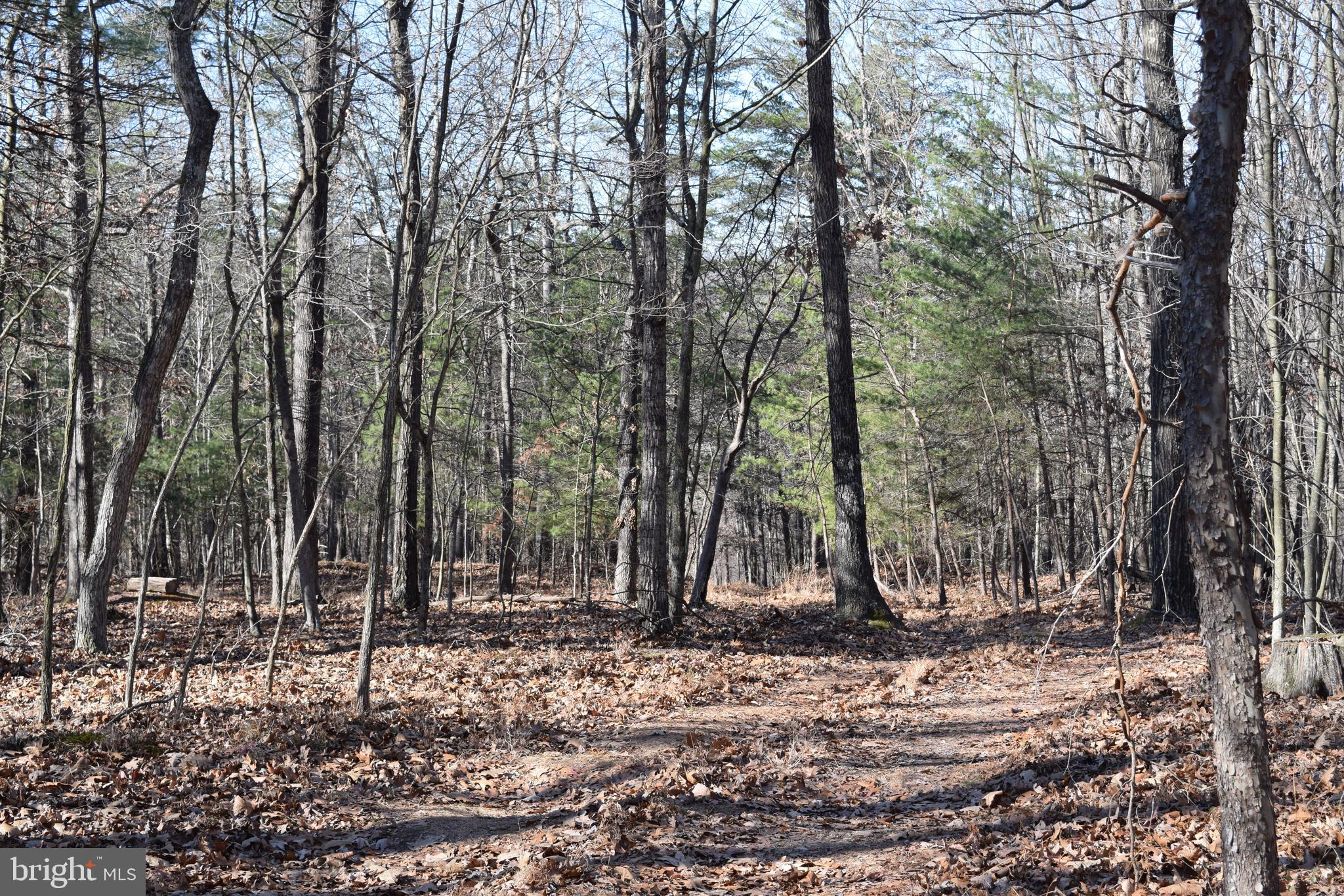 Posey Hollow Road Berkeley Springs, WV 25411 - Photo 27 of 32 Gallery Image 27