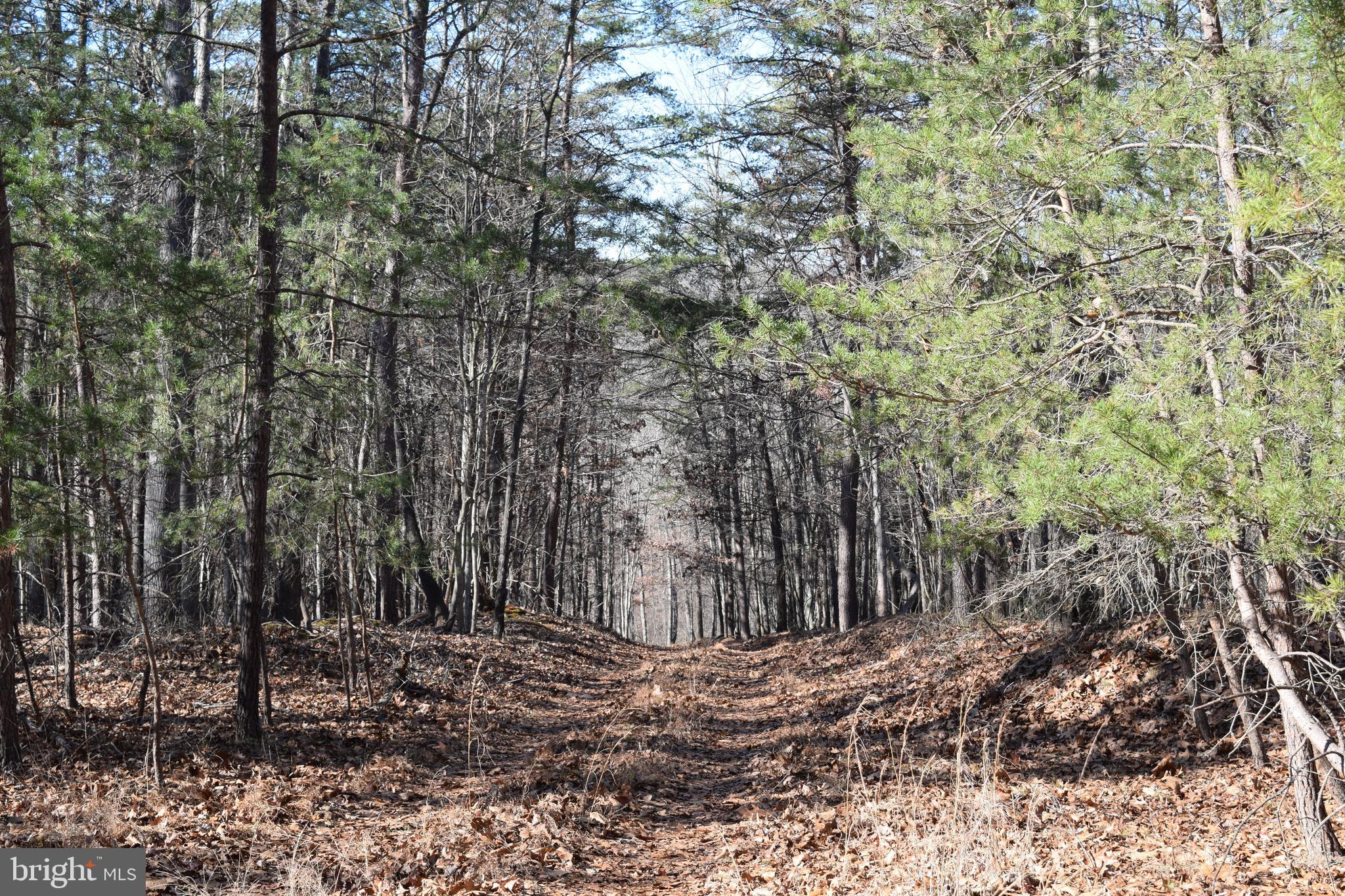 Posey Hollow Road Berkeley Springs, WV 25411 - Photo 28 of 32 Gallery Image 28