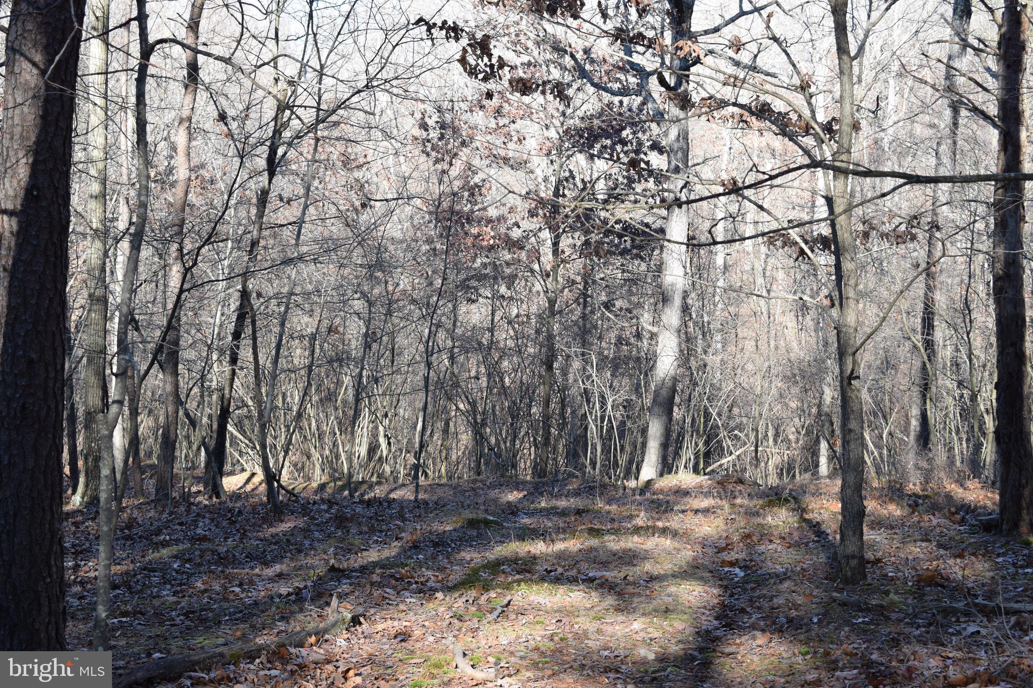 Posey Hollow Road Berkeley Springs, WV 25411 - Photo 29 of 32 Gallery Image 29