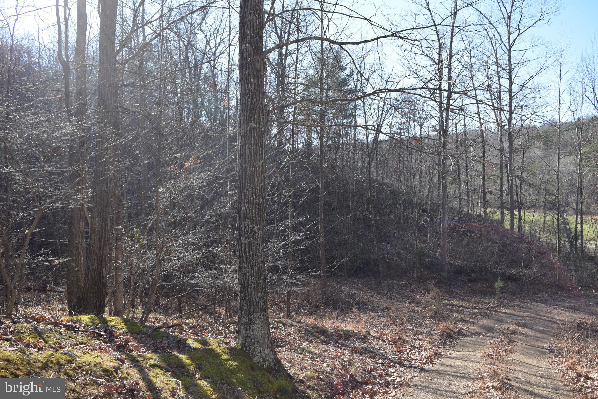 Posey Hollow Road Berkeley Springs, WV 25411 - Photo 30 of 32 Gallery Image 30