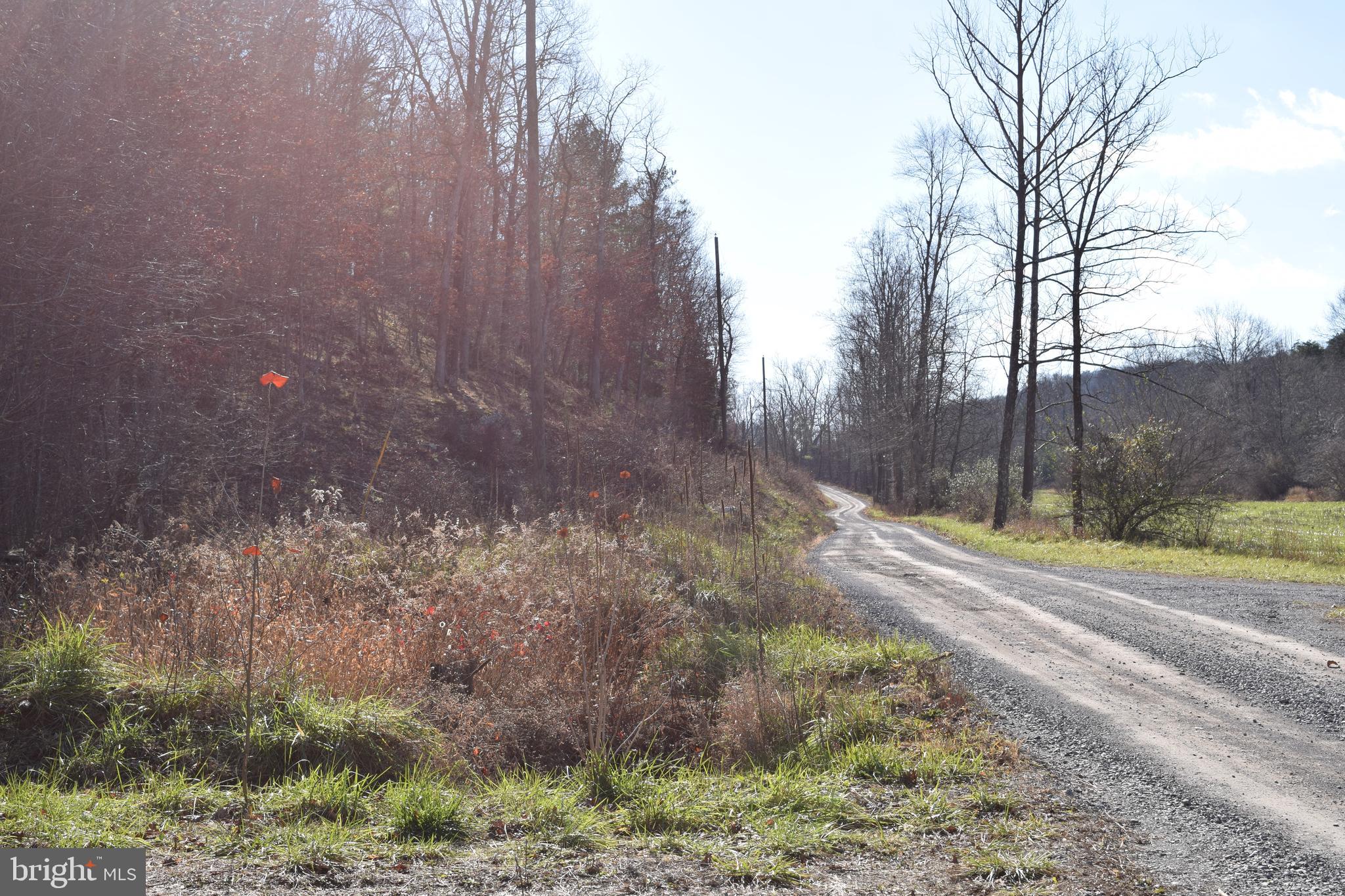 Posey Hollow Road Berkeley Springs, WV 25411 - Photo 31 of 32 Gallery Image 31