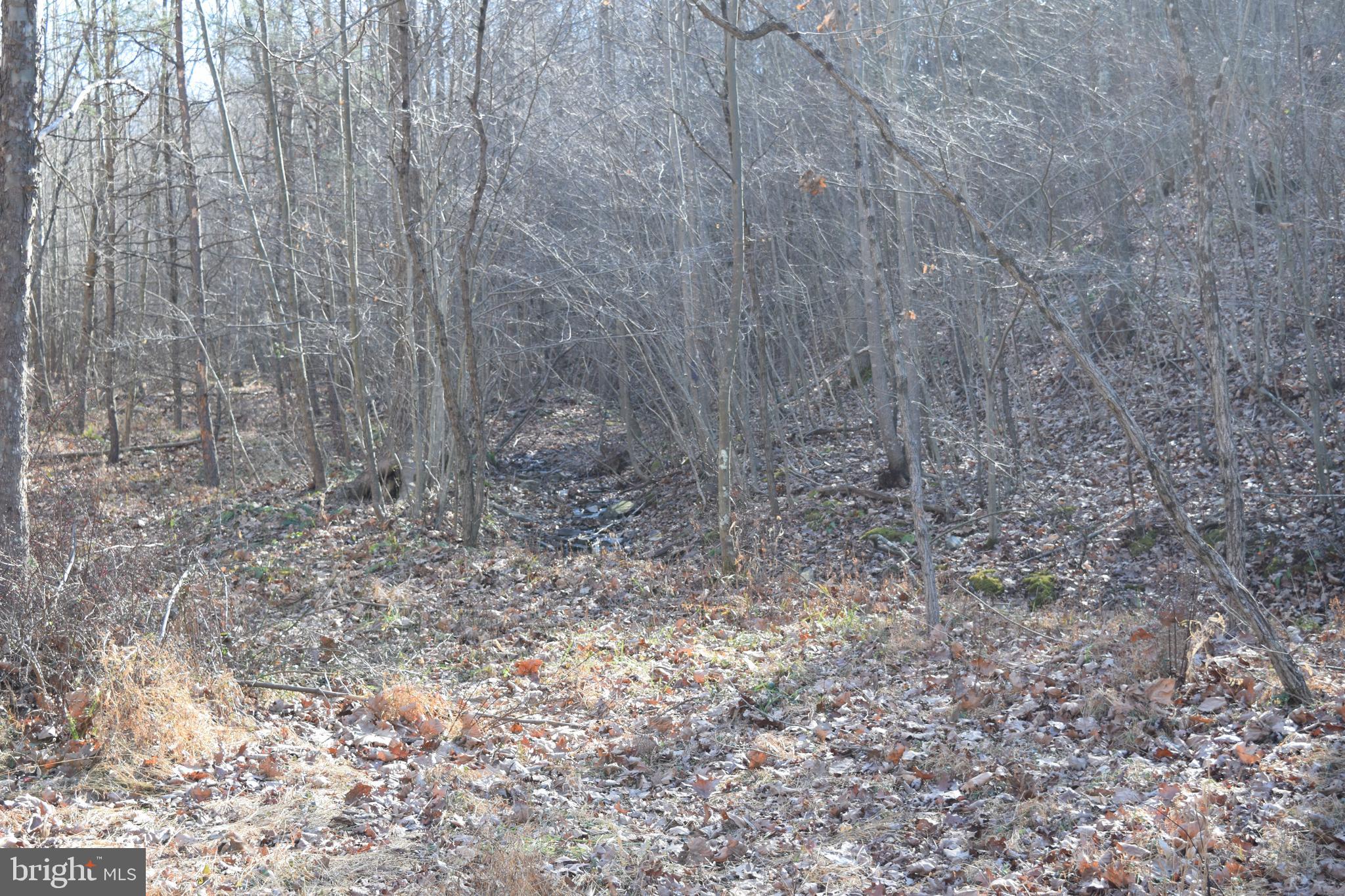 Posey Hollow Road Berkeley Springs, WV 25411 - Photo 5 of 32 Gallery Image 5