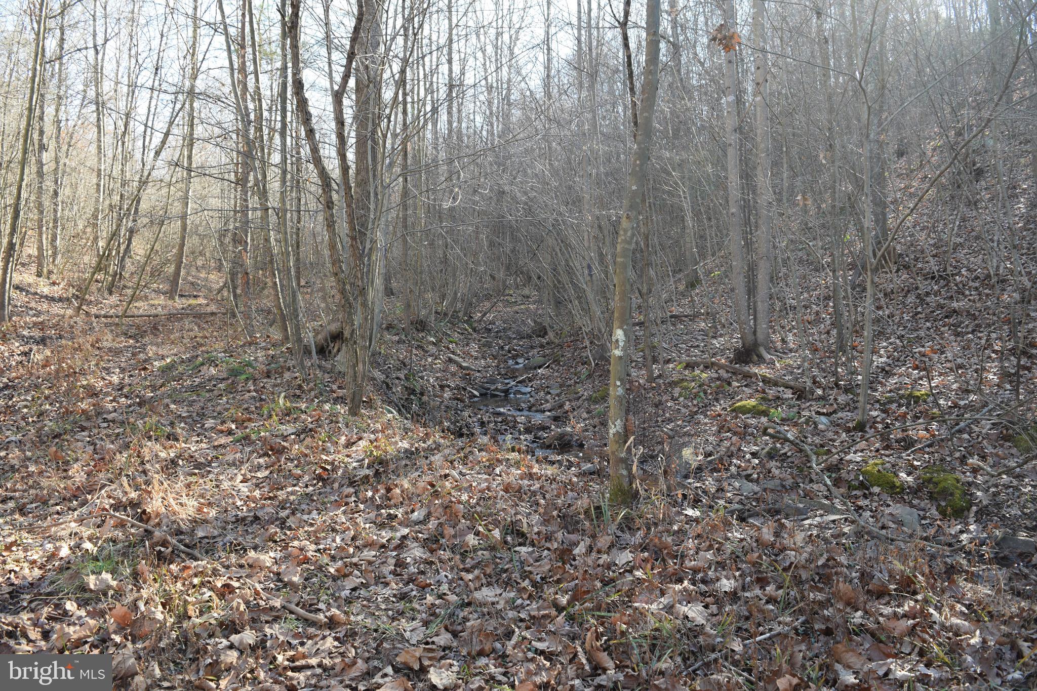 Posey Hollow Road Berkeley Springs, WV 25411 - Photo 6 of 32 Gallery Image 6