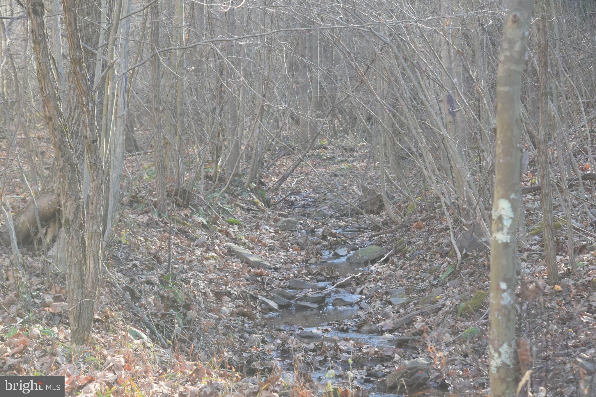 Posey Hollow Road Berkeley Springs, WV 25411 - Photo 7 of 32 Gallery Image 7