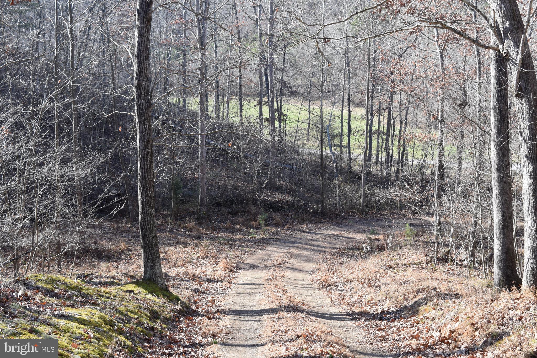 Posey Hollow Road Berkeley Springs, WV 25411 - Photo 10 of 32 Gallery Image 10