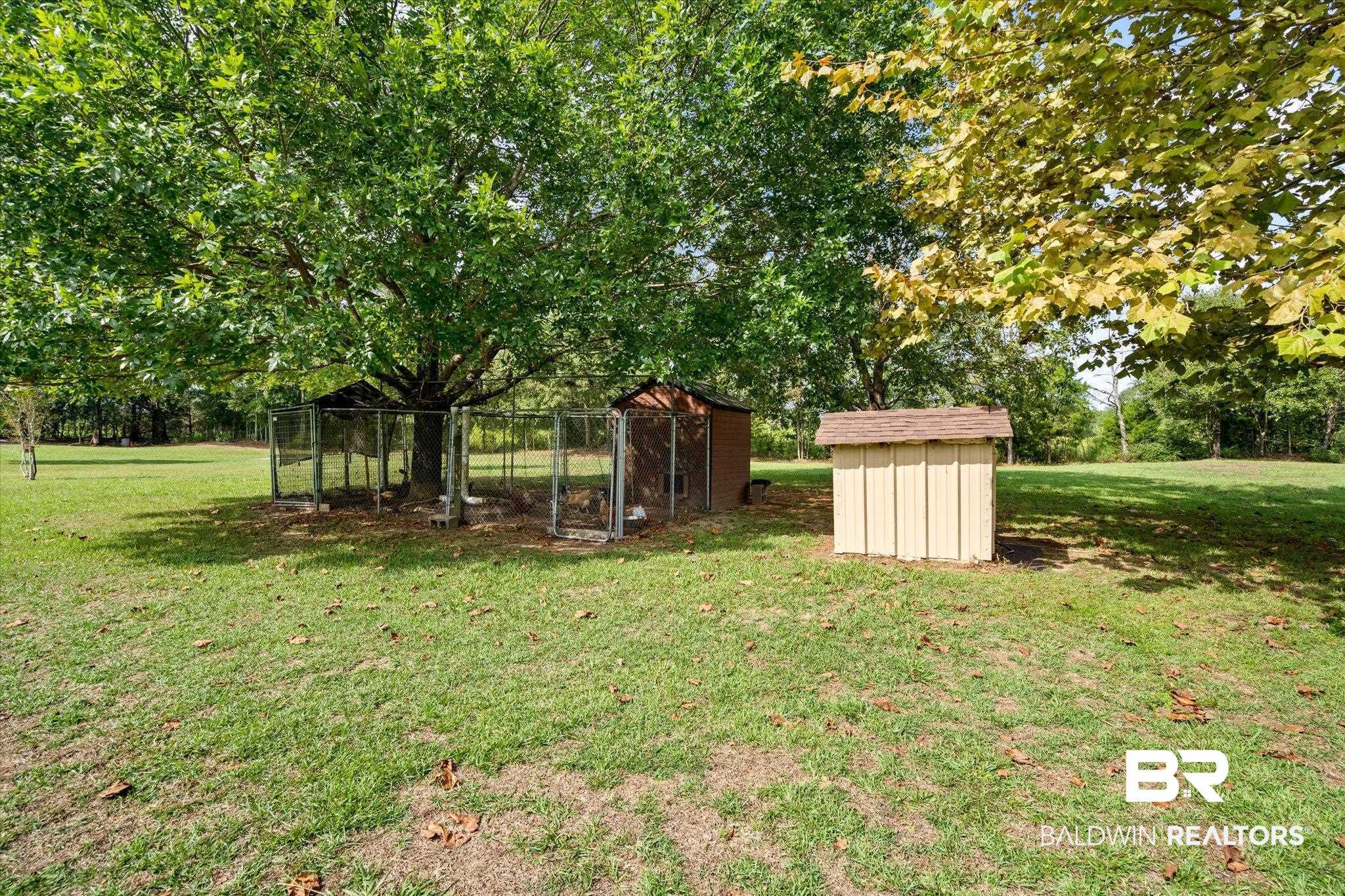159 Conecuh Road Castleberry, AL 36432 - Photo 37 of 48