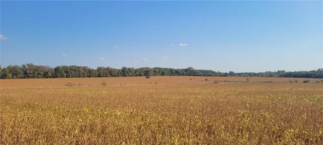 $329,000 | 4 151st & Moonlight Street, Olathe, KS 66061