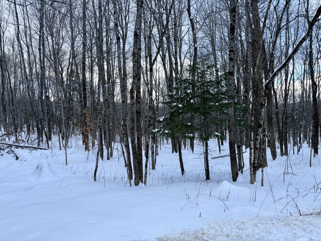 4 Center Hill Road Weld, ME 04285 - Photo 13 of 13 IMG_0945 Large