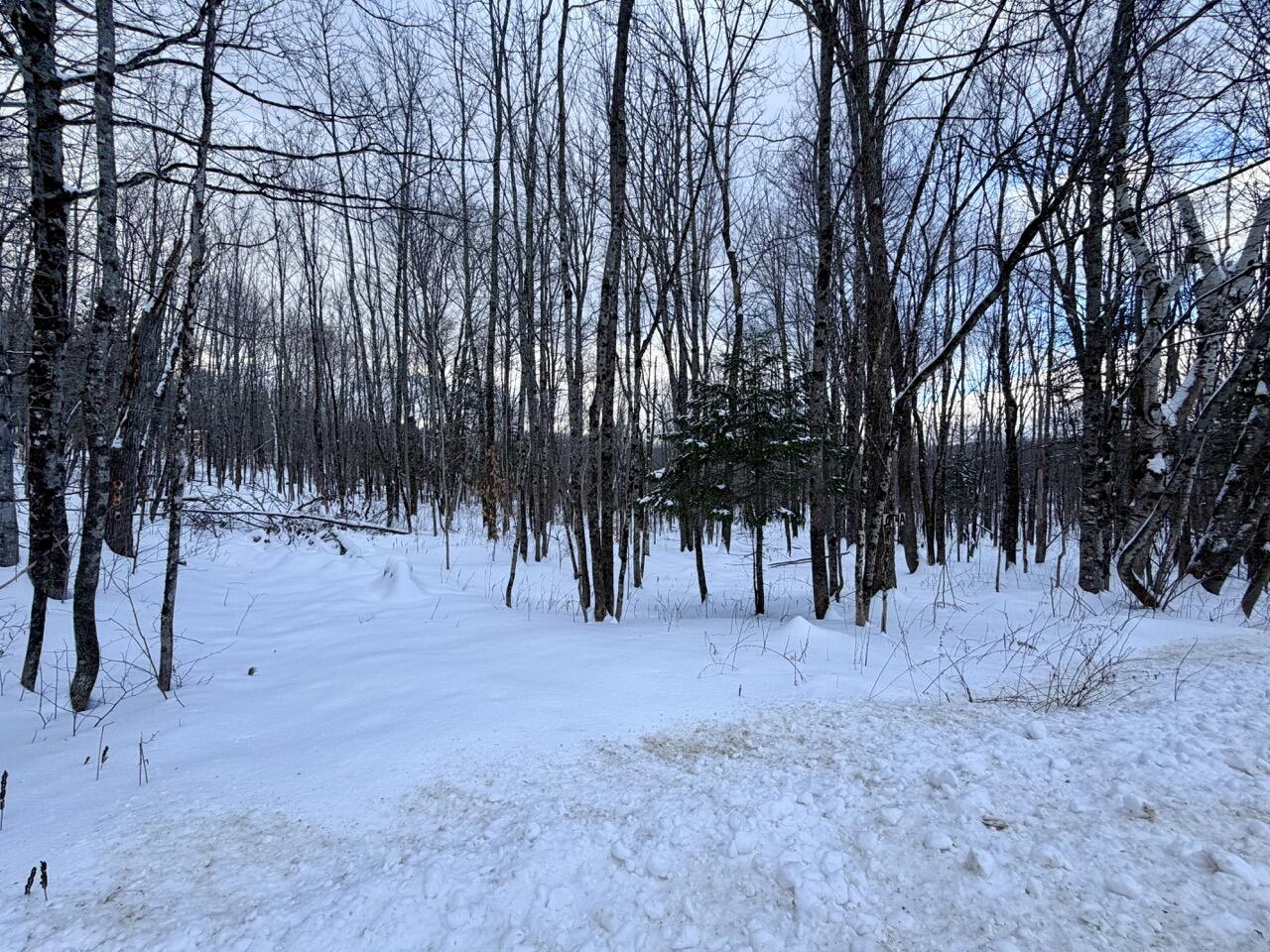4 Center Hill Road Weld, ME 04285 - Photo 2 of 13 IMG_0944 Large