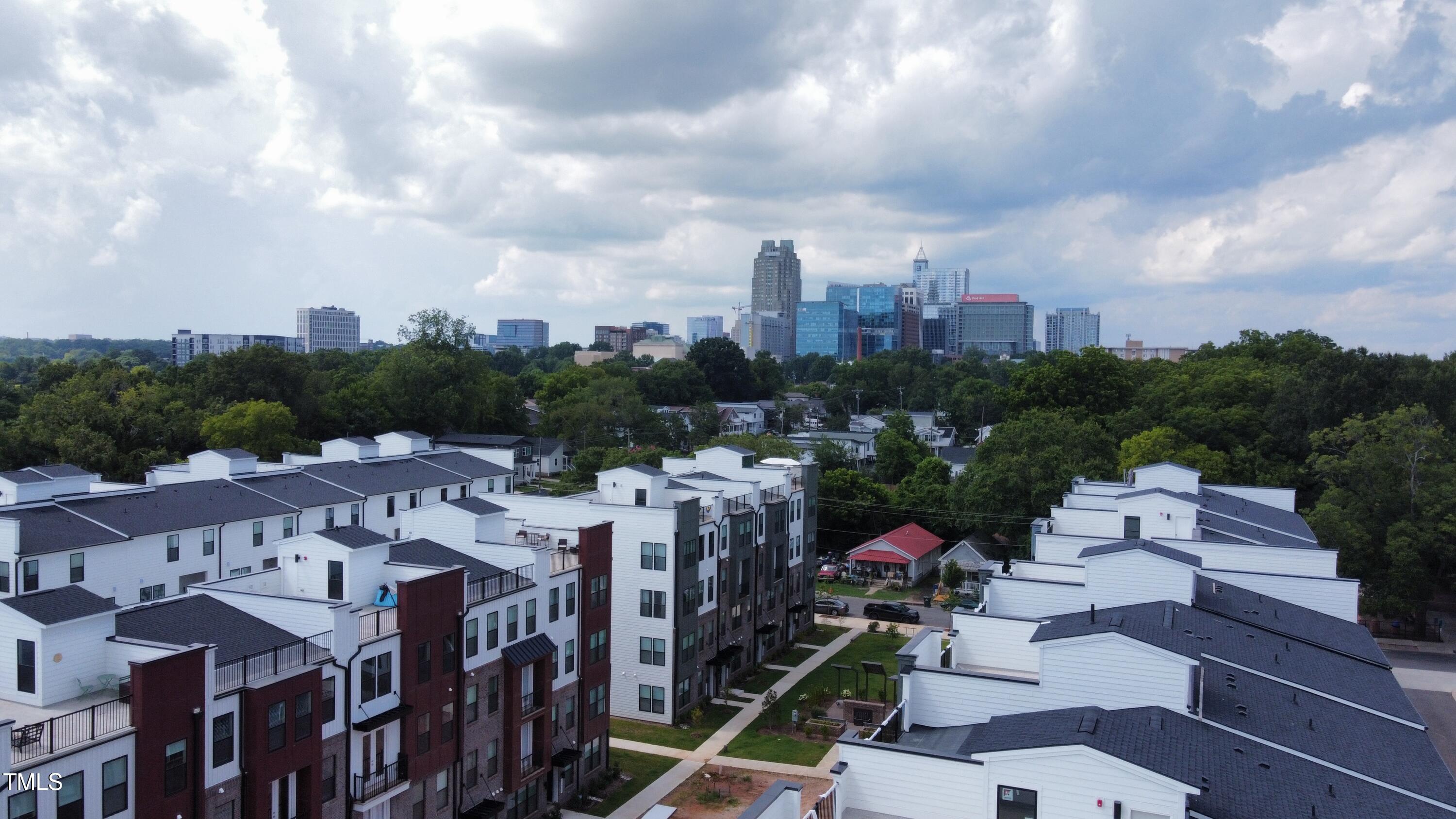 1251 Shaw View Alley, Unit 101 Raleigh, NC 27601 - Photo 45 of 47 a view of city
