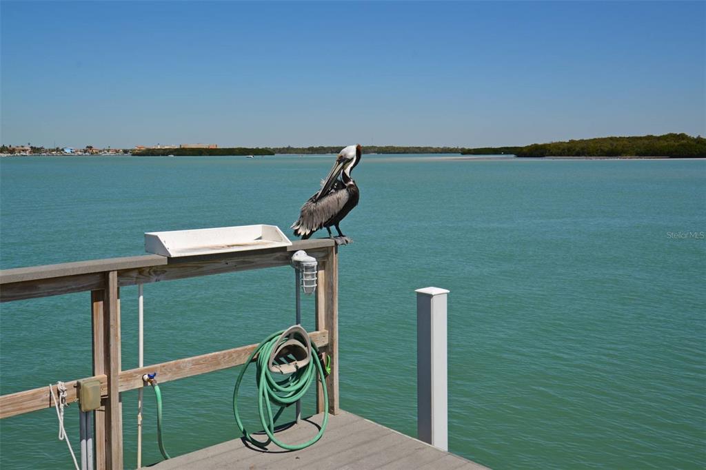 1 Key Capri, Unit 102E Treasure Island, FL 33706 - Photo 47 of 54
