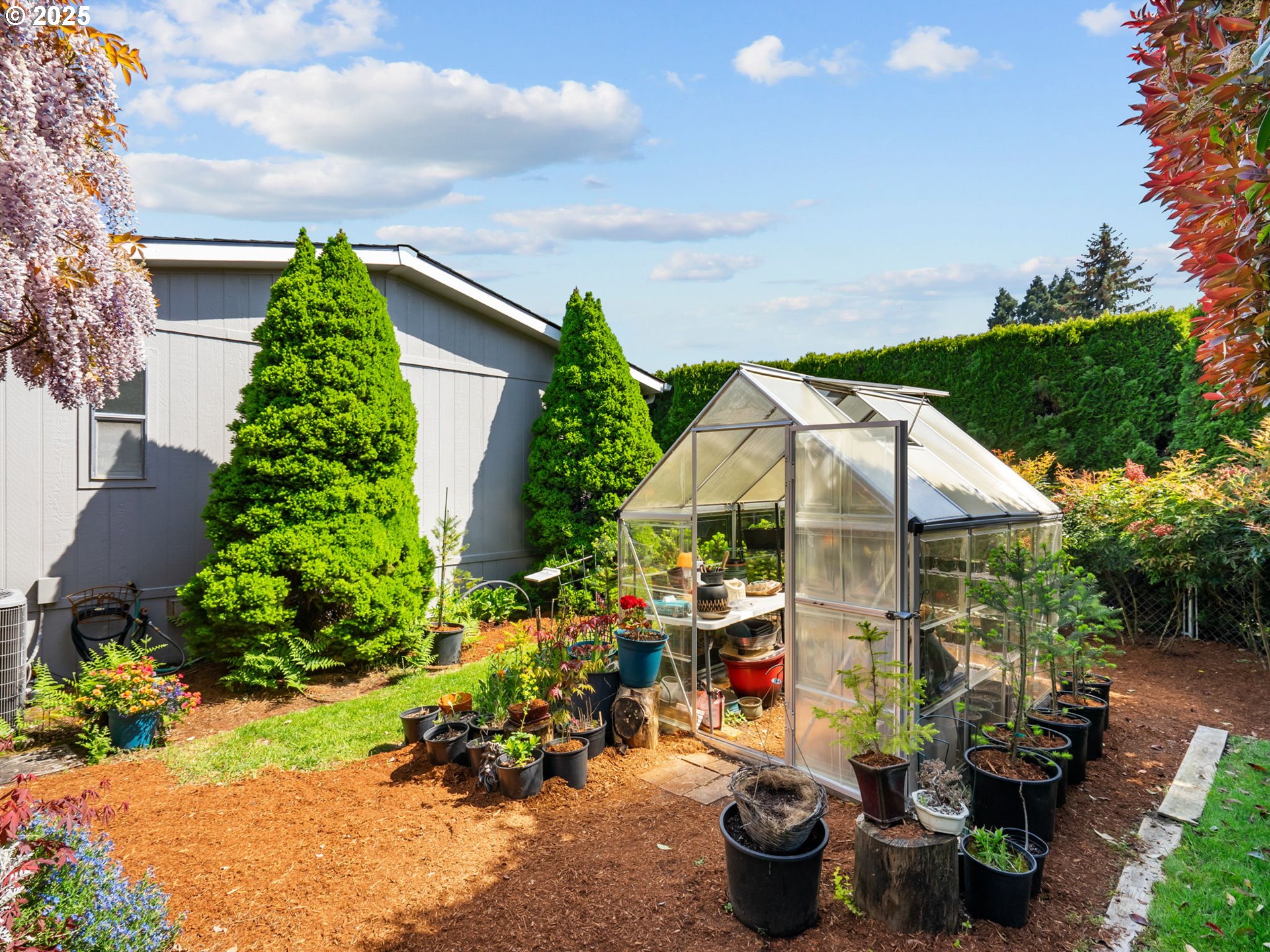 4355 Bren Loop Northeast Salem, OR 97305 - Photo 36 of 44 a backyard of a house with lots of green space