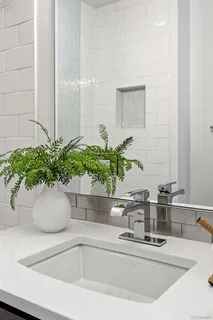 a bathroom sink with a potted plant
