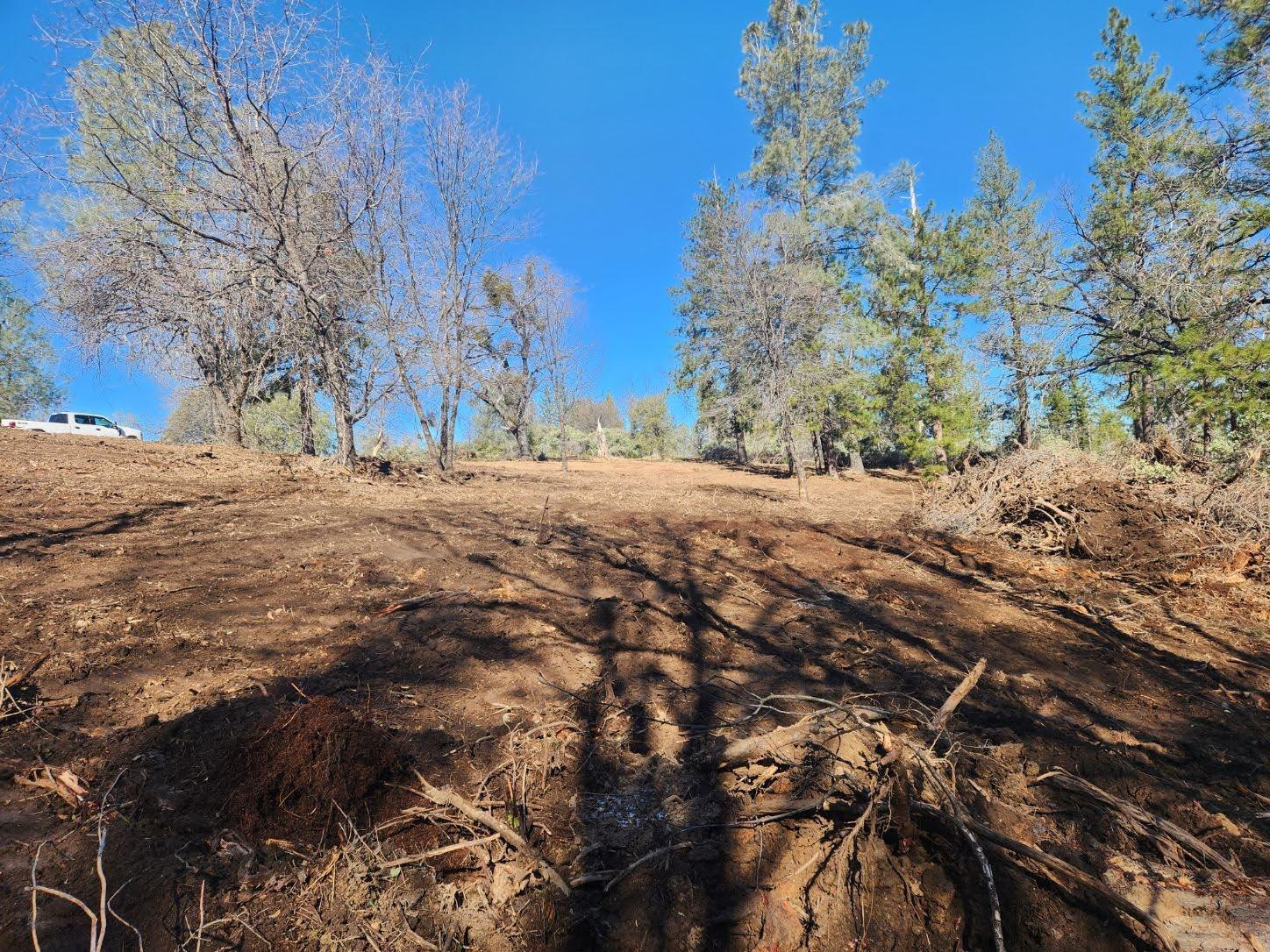 10 Old School House Road Somerset, CA 95684 - Photo 12 of 21 a view of dirt yard with a fountain