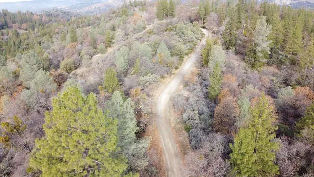 a close up view of a plant