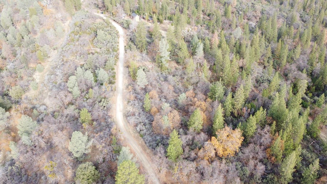 10 Old School House Road Somerset, CA 95684 - Photo 18 of 21 a close up view of a plant