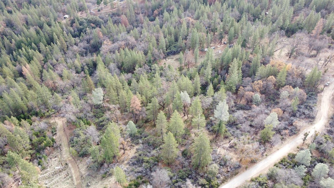 10 Old School House Road Somerset, CA 95684 - Photo 20 of 21 a view of a dry yard