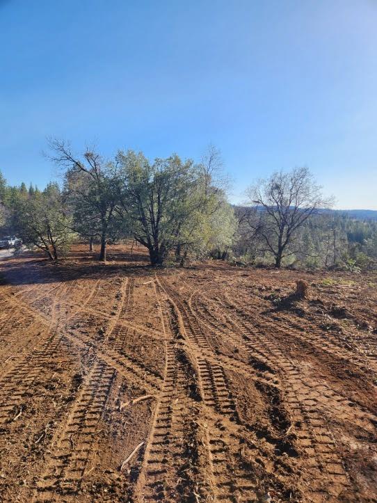 10 Old School House Road Somerset, CA 95684 - Photo 2 of 21 a view of a yard with wooden fence