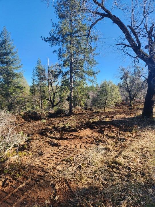 10 Old School House Road Somerset, CA 95684 - Photo 4 of 21 a view of a yard with a tree