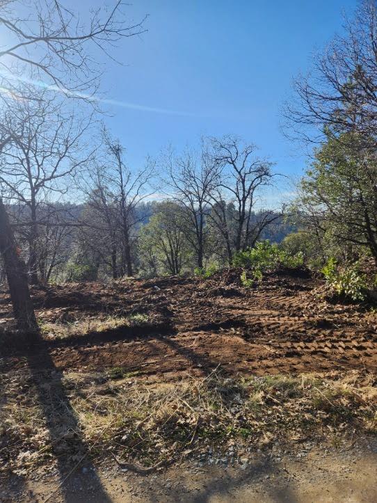 10 Old School House Road Somerset, CA 95684 - Photo 8 of 21 a view of a yard with plants and trees