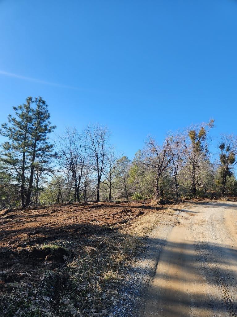 10 Old School House Road Somerset, CA 95684 - Photo 10 of 21 a view of road with trees