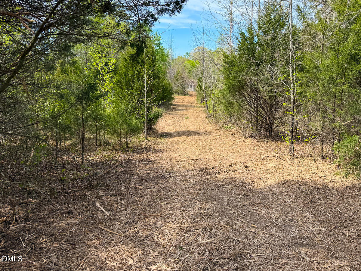0 Pentecost Road Cedar Grove, NC 27231 - Photo 23 of 45