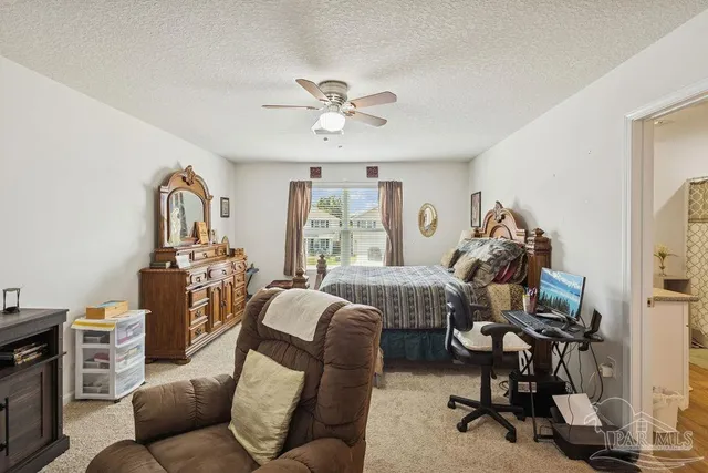 a living room with furniture a rug potted plant and a window