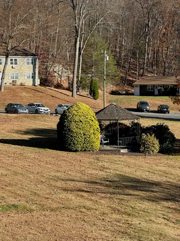 a view of a swimming pool with a yard