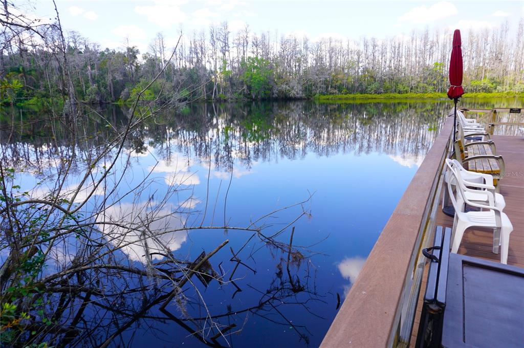 20921 Haulover Cove Road, Unit F5 Lutz, FL 33558 - Photo 33 of 34 a view of a lake with a yard and trees