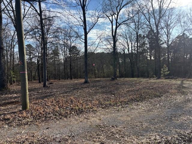 37 Davis Loop Kingston, GA 30145 - Photo 8 of 11