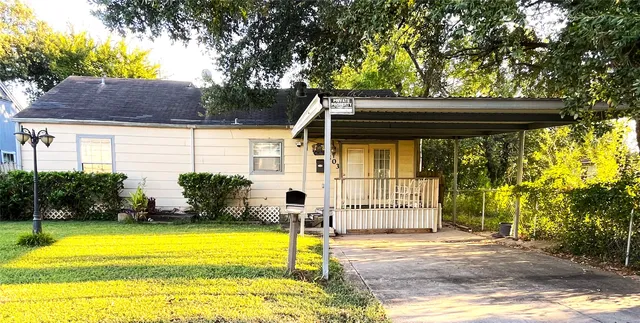 a view of a backyard with plants and large tree